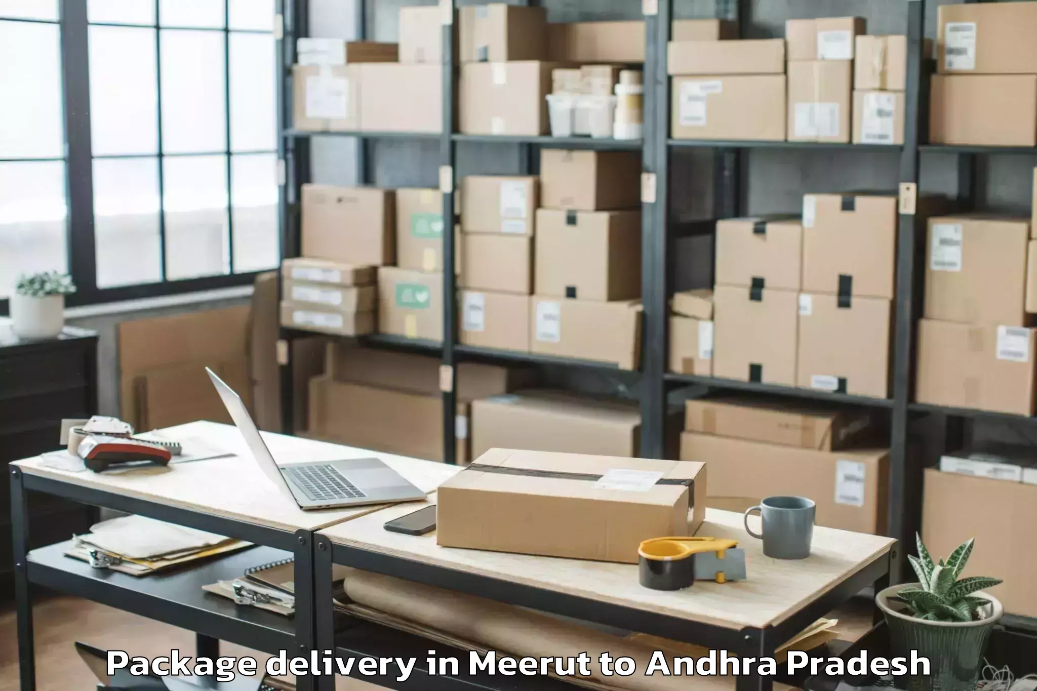 Easy Meerut to Peapally Package Delivery Booking